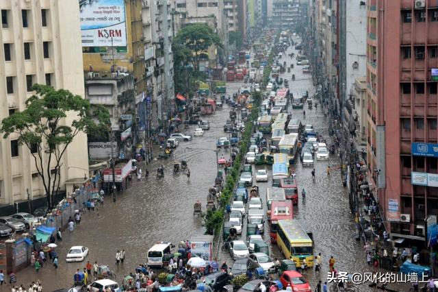 孟加拉国猫:你去过孟加拉国吗？对该国印象怎么样？