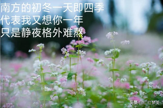 入骨相思何时止？