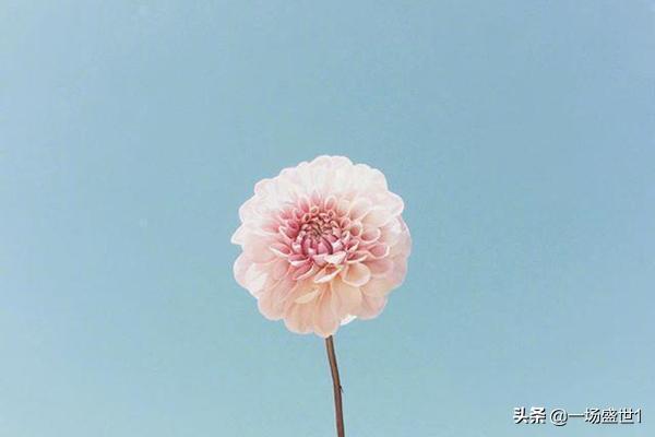 简单生活心态的句子早安:适合早上发的很暖心的句子简单合集？(适合早上发的暖心句子)
