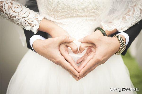 动物交配图:动物是怎样避免近亲结婚交配的？