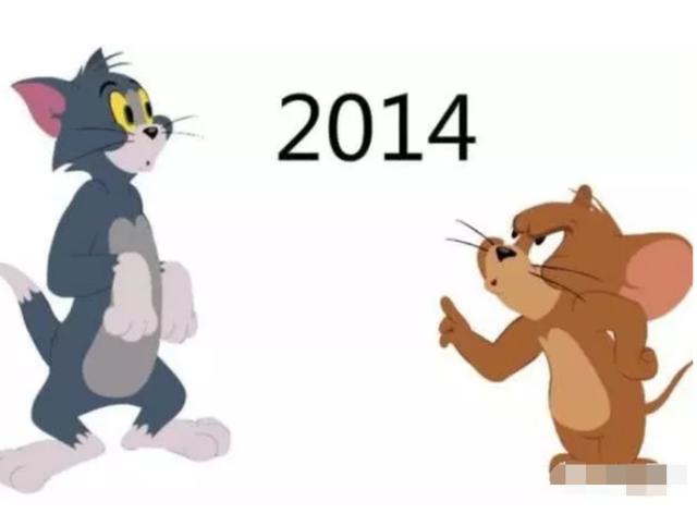 欧洲短毛猫价钱:英短银渐层猫多少钱一只？