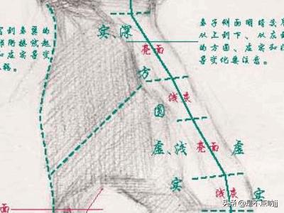 鼻子怎么画,素描入门教程：怎样画好鼻子？