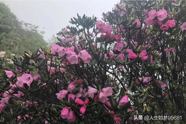 你去过哪些非常小众却又特别美的景点？插图69