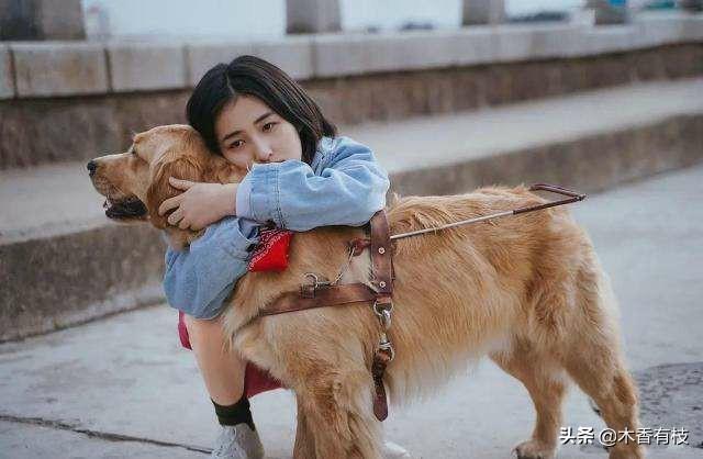 于和伟离婚:你觉得电影《宠爱》算烂片吗？你怎么看这部片子？