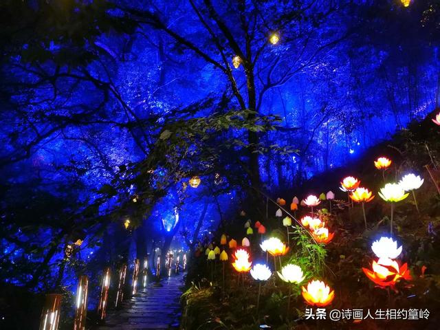 科威特73度高温:81℃高温！地球“发烧了”，大家都要住进烤箱了吗？