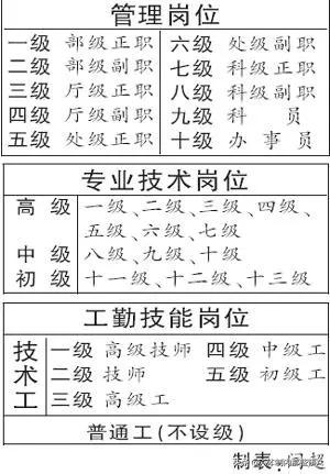 带你看看我们引进的saluki:事业单位管理岗各个学历怎样定级？