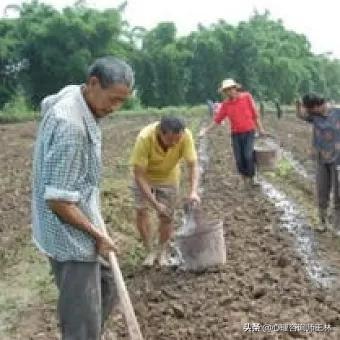 这几天都拿农民跟工人比,大家咋看？