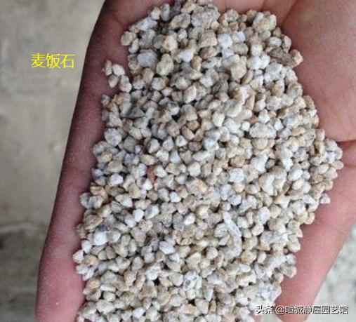 兰花火山石的作用:种兰花赤玉土好还是麦饭石好？
