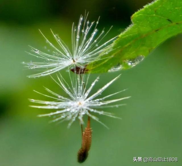 曾仕强这是老天在考验，有时候觉得老天很不公平，在我身边放了很多恶人整我怎么办