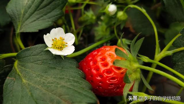 这次疫情让我们懂得了珍惜作文(这次疫情之后,我们应该更加珍惜什么)