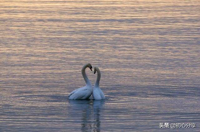 头条问答 夫妻有两个孩子 但是会经常吵架 老公不理解老婆看孩子的辛苦 该怎么办 沫沫言灯塔的回答 0赞