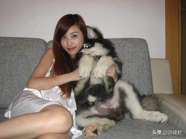 养狗这回事:为什么很多人喜欢养狗？急？ 养狗这回事 电视剧