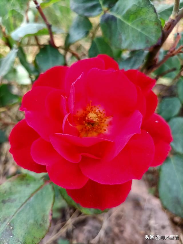 袁天罡的相面之术口诀,奇人袁天罡，此人真实性有多少？