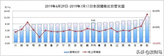 现在养猪有前途吗？