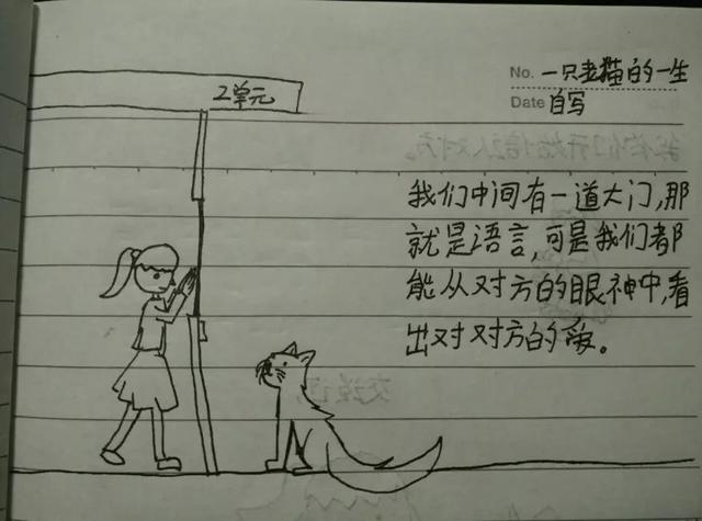 孩子和猫咪的图片大全:猫能让孩子变乖，变的爱学习，猫的魅力真的有这么大吗？