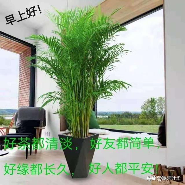 离婚半年,前妻回来找我,说会好好和我过日子,还能信吗？