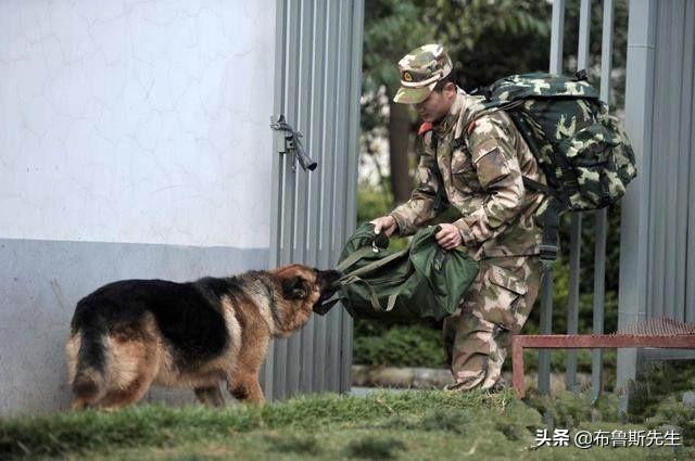 头条问答 生活中感动自己的瞬间 你是用文字还是用照片或是视频记录呢 为什么 布鲁斯先生的回答 0赞