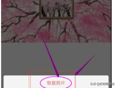 恢复我的相册,怎么恢复手机相册中的相片？