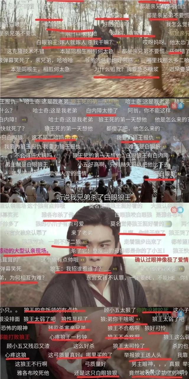 电视剧东宫剧情介绍:电视剧《东宫》，有哪些有趣的弹幕