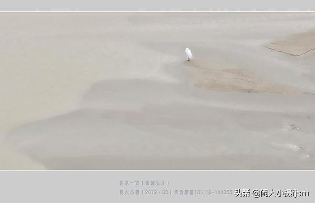 使用手机拍摄，使用“前景”有什么技巧