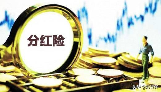 香港哪里能买到克莉丝汀森梳子:你买过哪些便宜到尖叫的好东西？