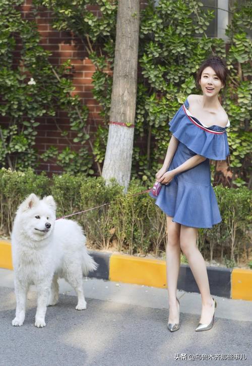 纪录片职业牵犬师视频:萌宠成“精”的视频是真是假，都是怎么拍出来的？ 纪录片职业牵犬师