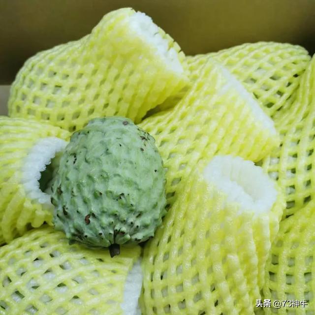 狗民网团购不见了:互联网卖菜真的是在挤压菜贩的生存空间吗？为什么？ 狗民网官网