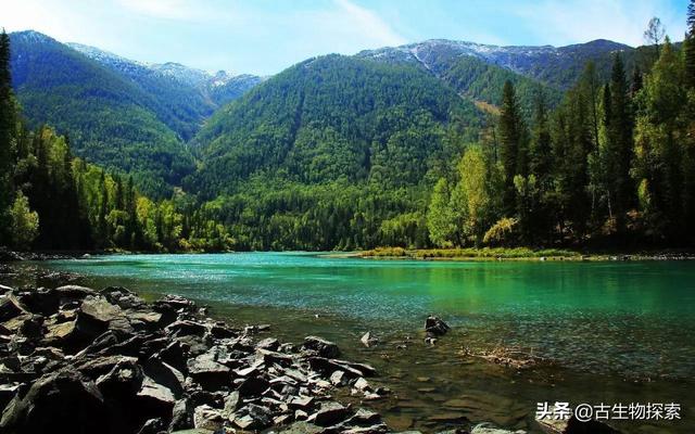 猎塔湖水怪之谜终于得解:四川猎塔湖水怪之谜1 喀纳斯湖大红鱼捕捞不住吗？具体如何？