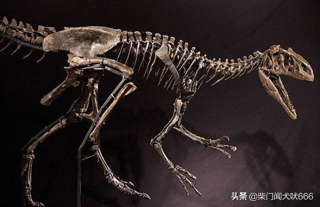 巨人骨骸:恐龙时期的人类是什么样的？
