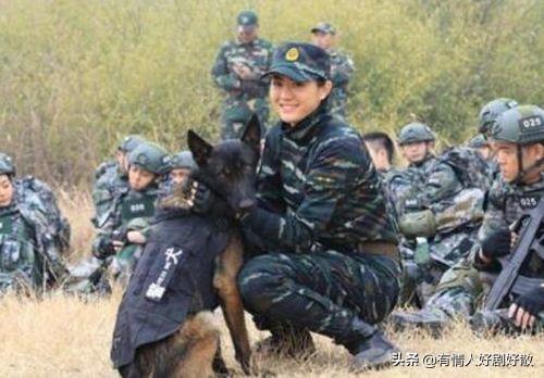特警力量演员表:推荐几个类似《我是特种兵1》的电视剧，哪些好看？
