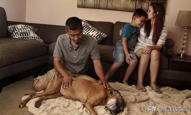 第一只狗 第二只狗:养过狗的人为什么不想再养第二次？