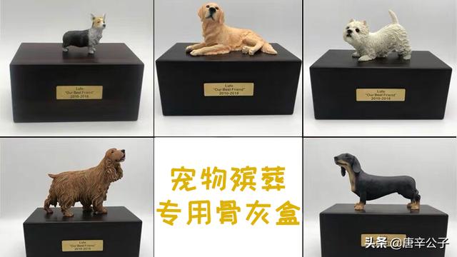 北京犬业联盟靠谱吗:宠物殡葬业前景怎么样，利润如何？