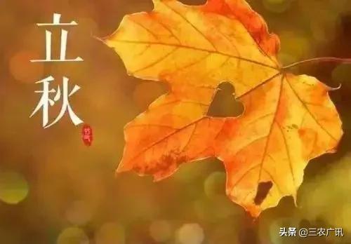 早立秋和晚立秋是如何划分的？