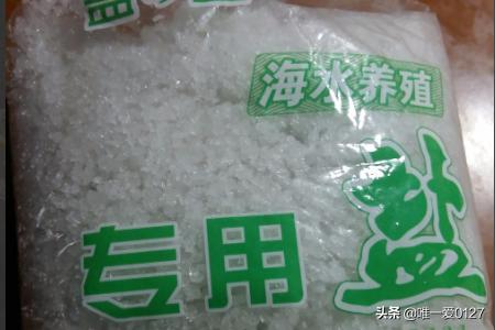 热带观赏鱼养殖技术:给热带鱼换水的正确方法？