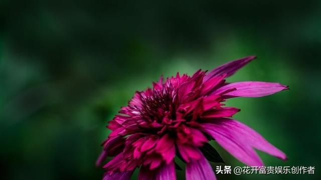 上一首听哭你的歌是什么？ ​​​​