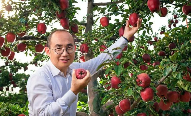王石老婆:绿地张某婷与王石的田朴珺谁赢谁输？