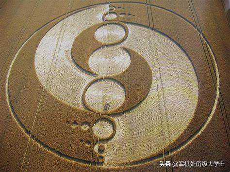 麦田怪圈解密:现在有没有人能给麦田怪圈一个正确解释