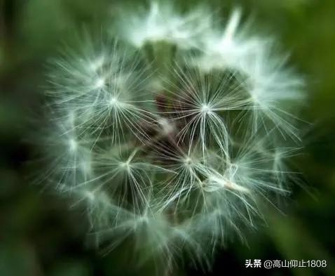有人说“人在低谷,自己才是最好的依靠”你认同这句话吗？为什么？