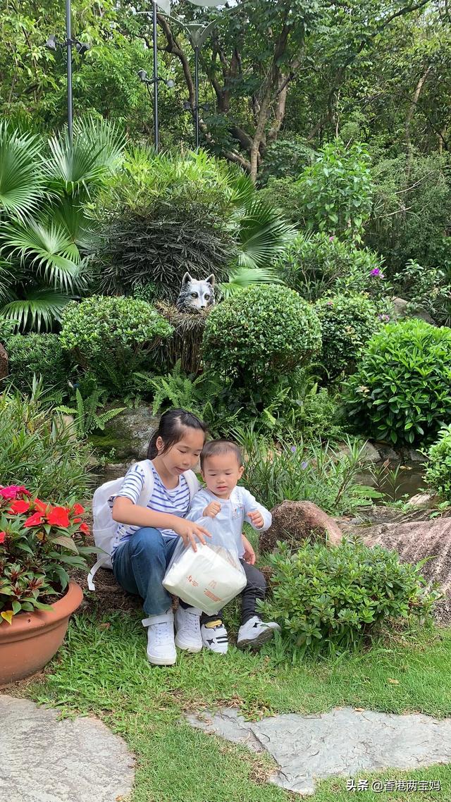 宝妈们,女儿快三岁了,你们是怎么训练小宝宝如厕的呢？