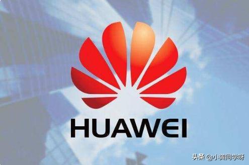华为为什么不在手机上用菊花的logo了？