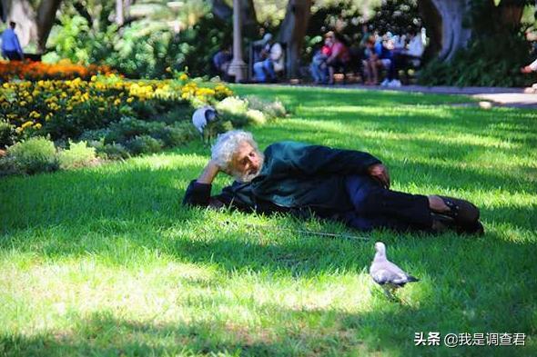 澳大利亚丛林真人秀节目，真实的澳大利亚生活到底是怎样的