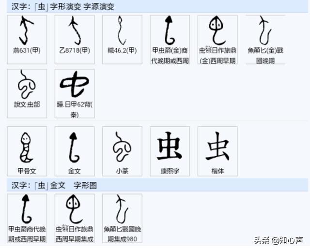 狗头蝙蝠百度百科:巨型狗头蝙蝠百度百科 蝙蝠进了我家被我打死了,晚上来了好多在家里乱飞怎么办呀？