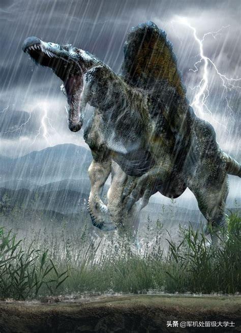 世界上哪条龙最厉害，你认为最强的恐龙是哪一种