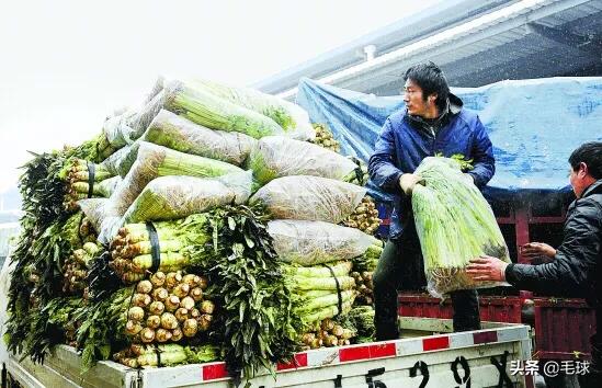 搞新鲜蔬菜批发利润多大一年能赚多少钱。货源去哪里找