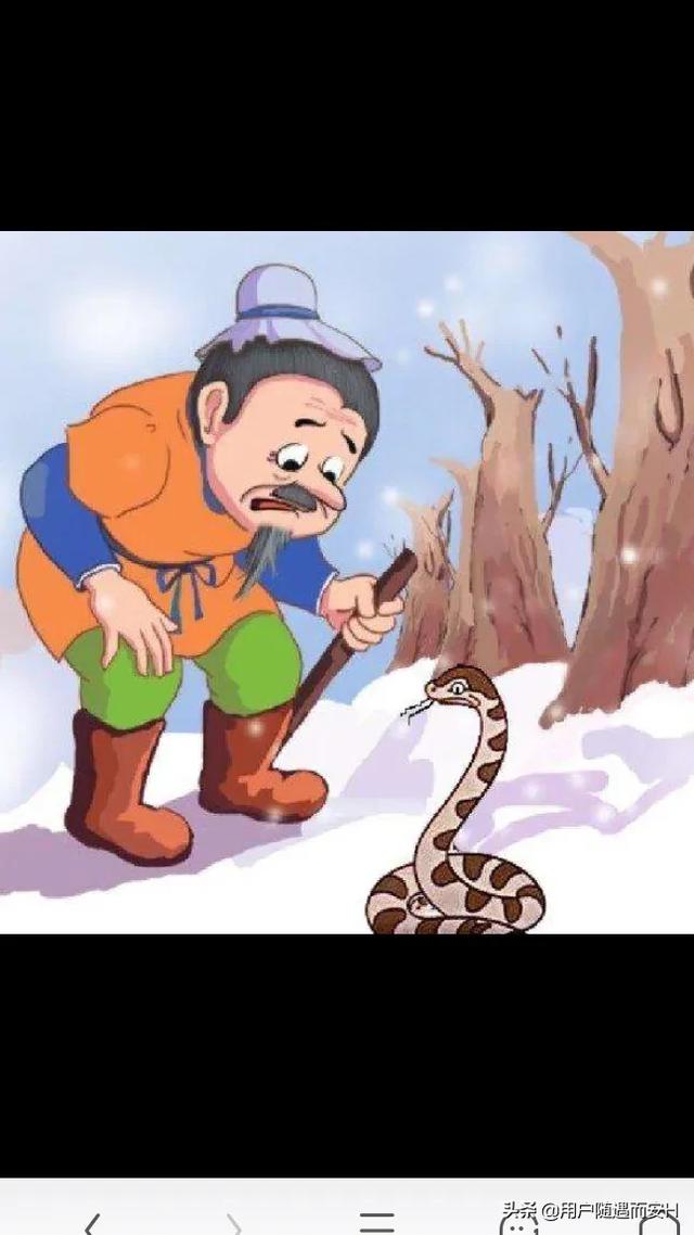 头条问答 - 在你的身边,现实版的《农夫与蛇的故事》,有吗?
