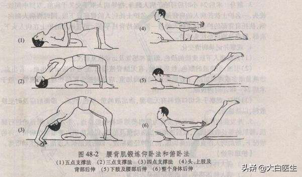 脊椎病因治疗学:脊椎病因治疗学第三版 坐着脊柱疼躺着没事是怎么回事儿？