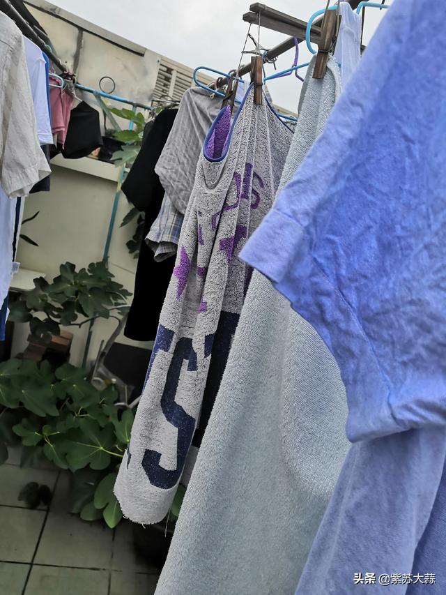 头条问答 - 南方梅雨季节衣服潮湿,有啥好妙招吗?(耳双553的回答,0赞)