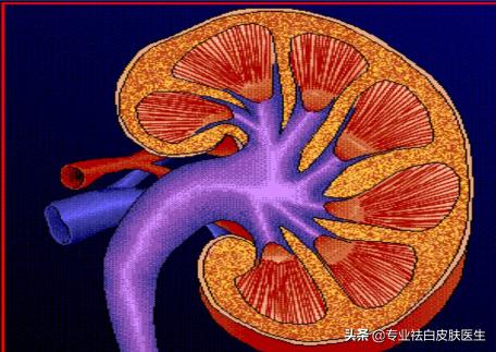 大便不成型拉不干净是什么原因:大便潮湿不成型，擦不干净怎么办？