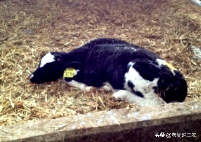新生儿消化不良腹泻:新生儿消化不良怎么办 我家孩子消化不良还腹泻，吃什么好？