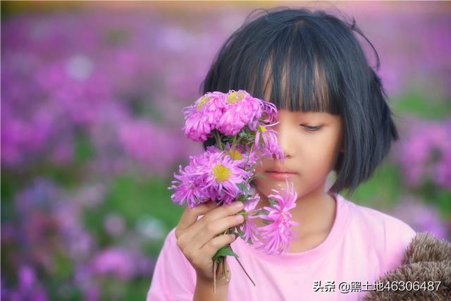 八公犬物语在线观看:摄影“尼康”党们，是什么原因让你当初选了尼康？